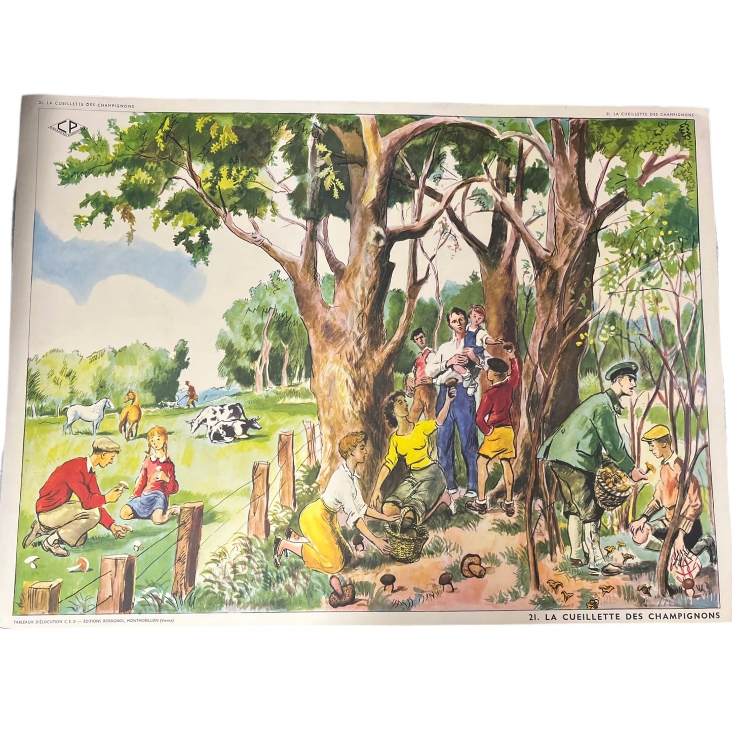 Vintage French educational school poster, double sided for sale by All Things French Store