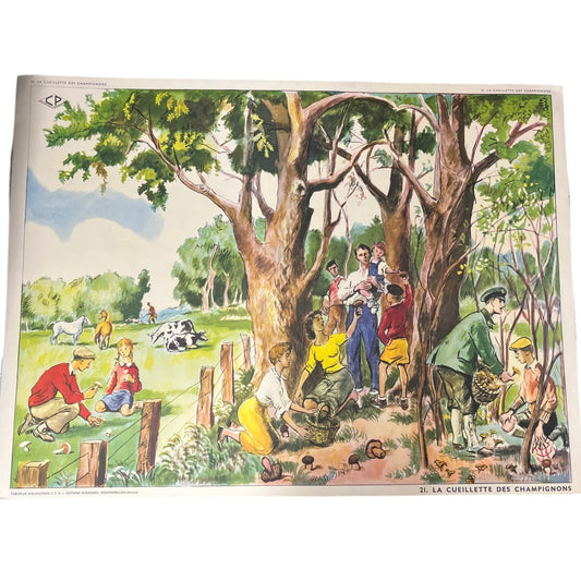 Vintage French educational school poster, double sided for sale by All Things French Store