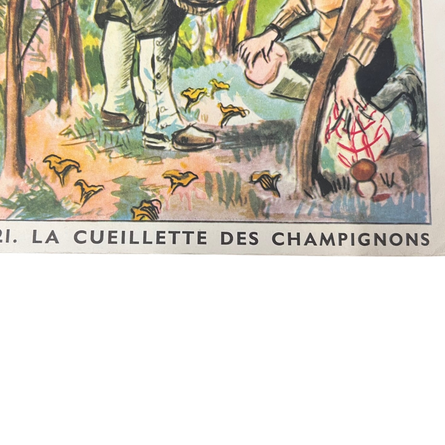 close up detail of school poster
