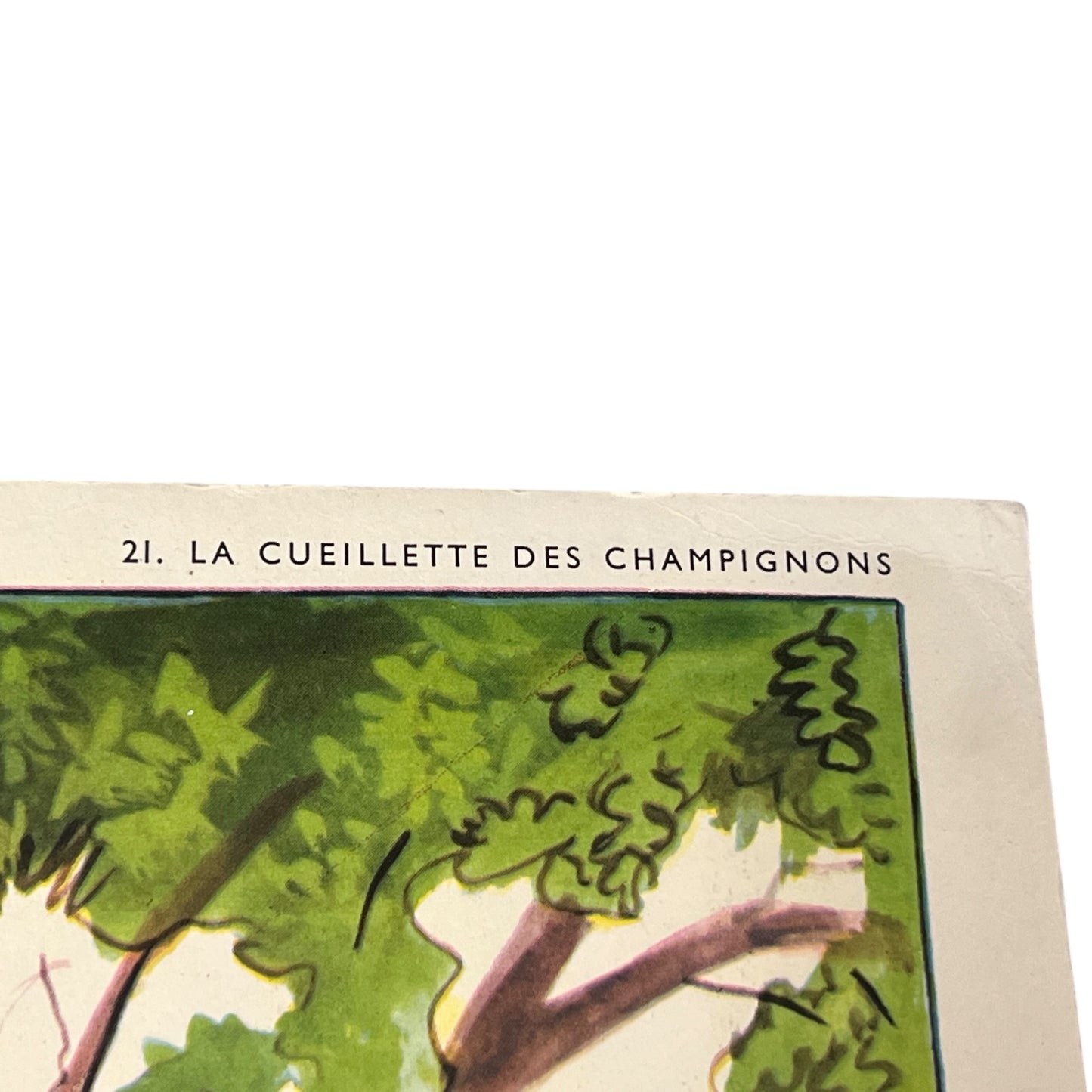 detail view of school poster