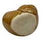 underside image of a single French glazed ceramic snail pots  a white background sold by All Things French Store