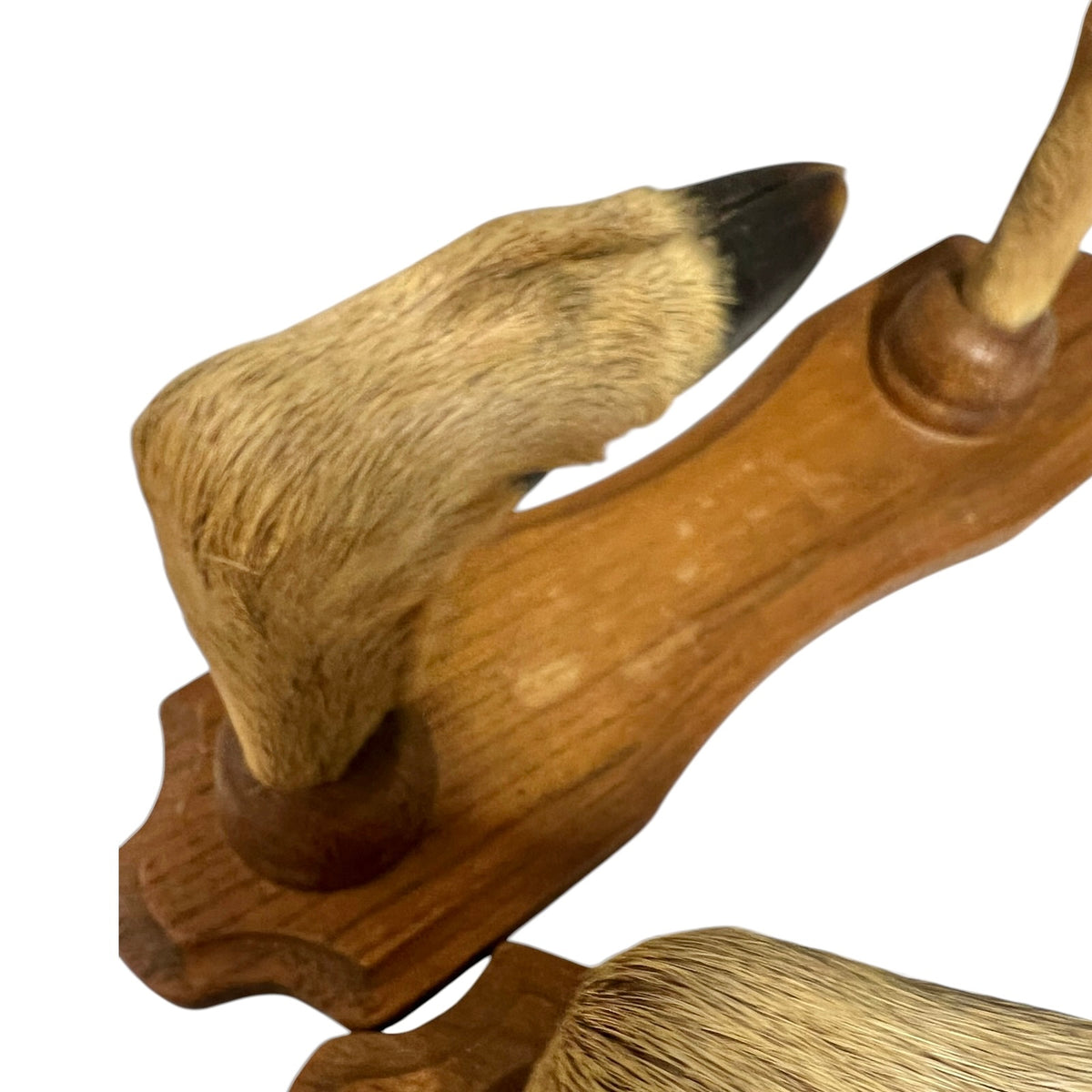 Vintage French Taxidermy Deer Hoof Coat Hooks – Set of 4