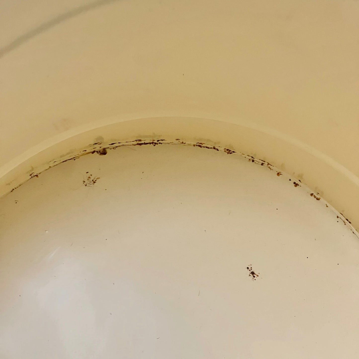 Close up of a French enamel bucket on a white background 