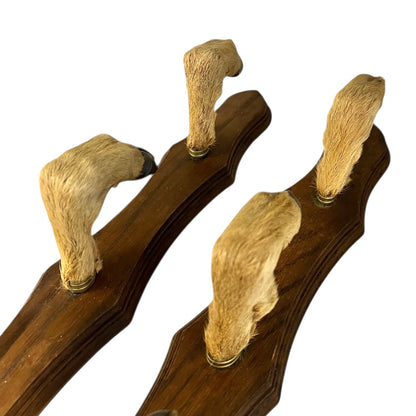 Set of 6 French Deer Hoof Vintage Taxidermy Coat Hooks – Hunting Gift