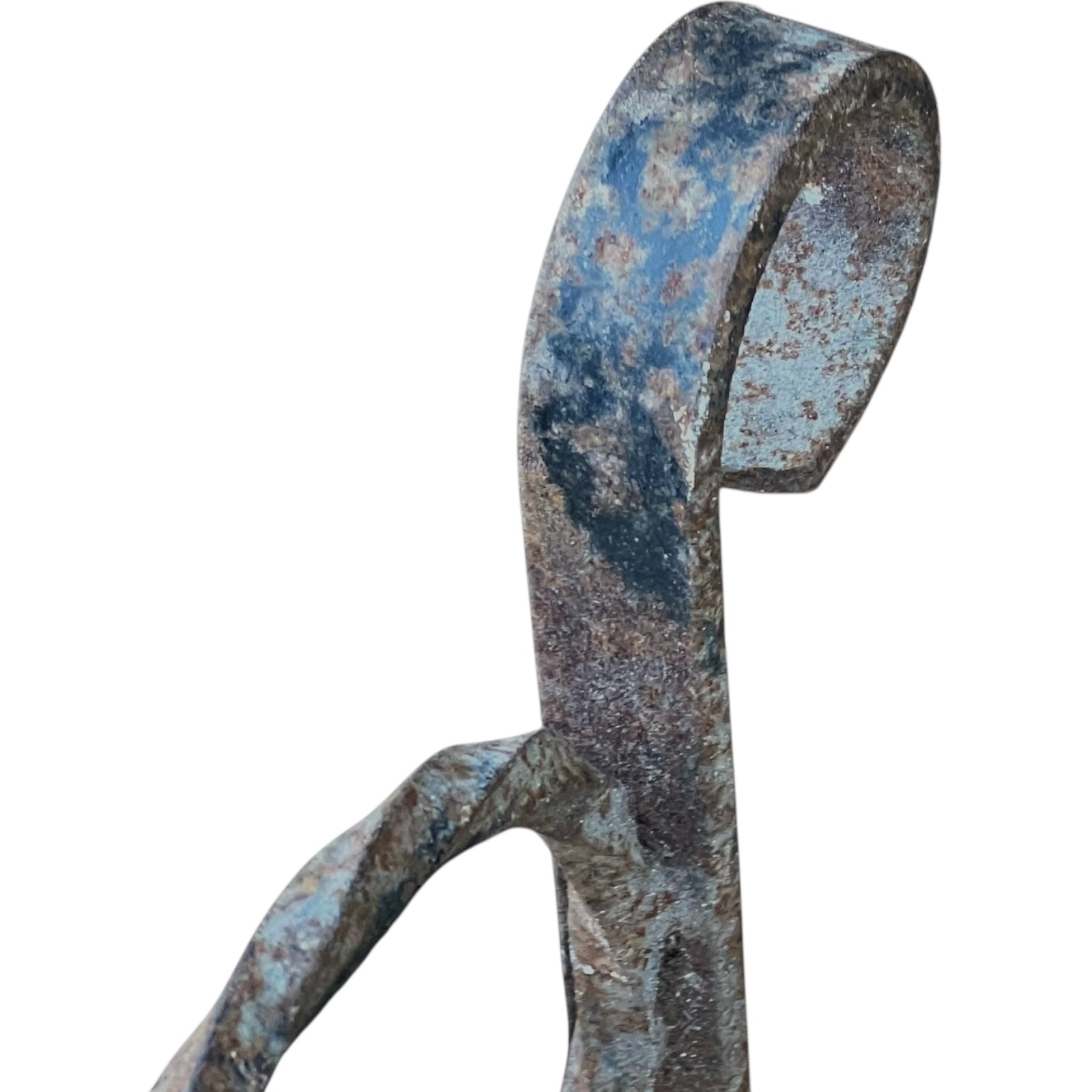 close up view of iron planter