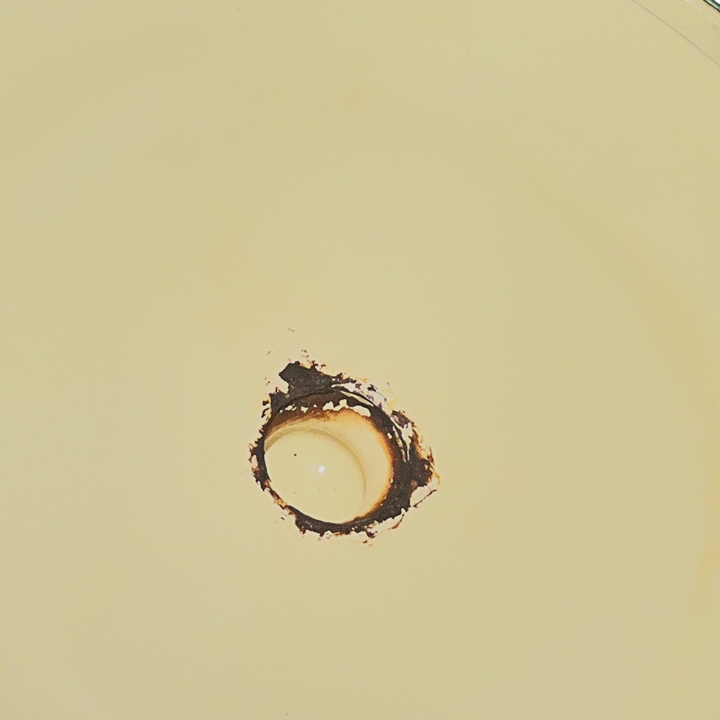 Close up of a French enamel bucket on a white background 