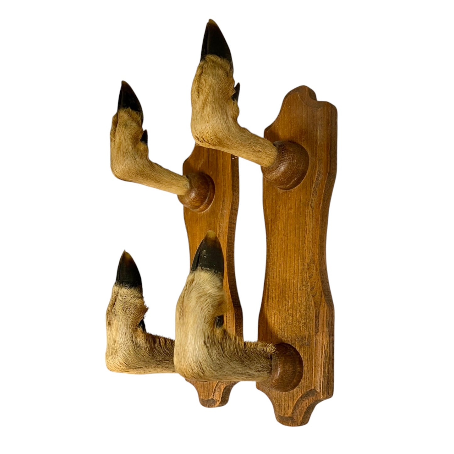 A wall-mounted wooden rack with four deer hoof hooks, each topped with a dark blackened tip, shown against a plain white background.