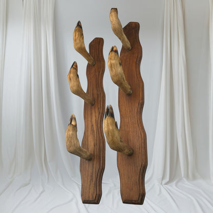Set of 6 French vintage deer hooves on a 2 wooden mounts, ideal for coat hooks - on a white background
