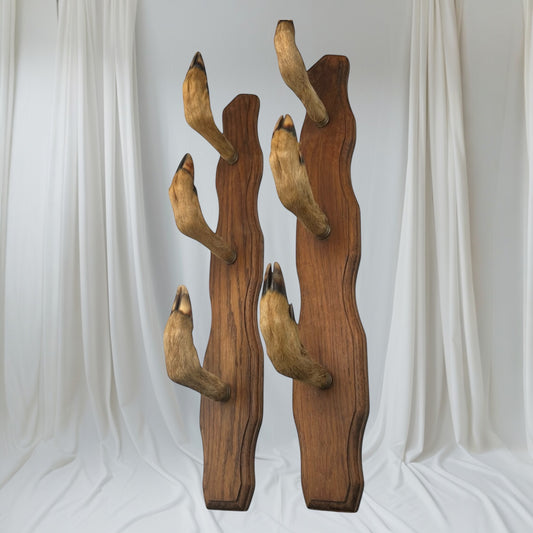 Set of 6 French vintage deer hooves on a 2 wooden mounts, ideal for coat hooks - on a white background