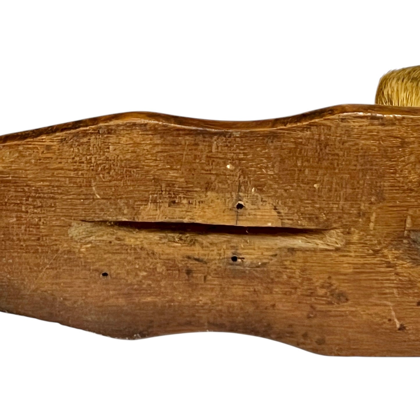 close up of deer hooves on a white background