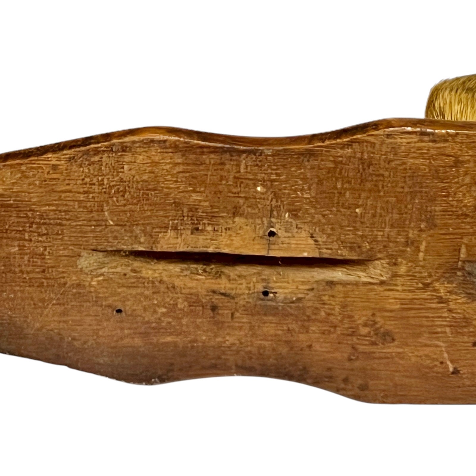 close up of deer hooves on a white background