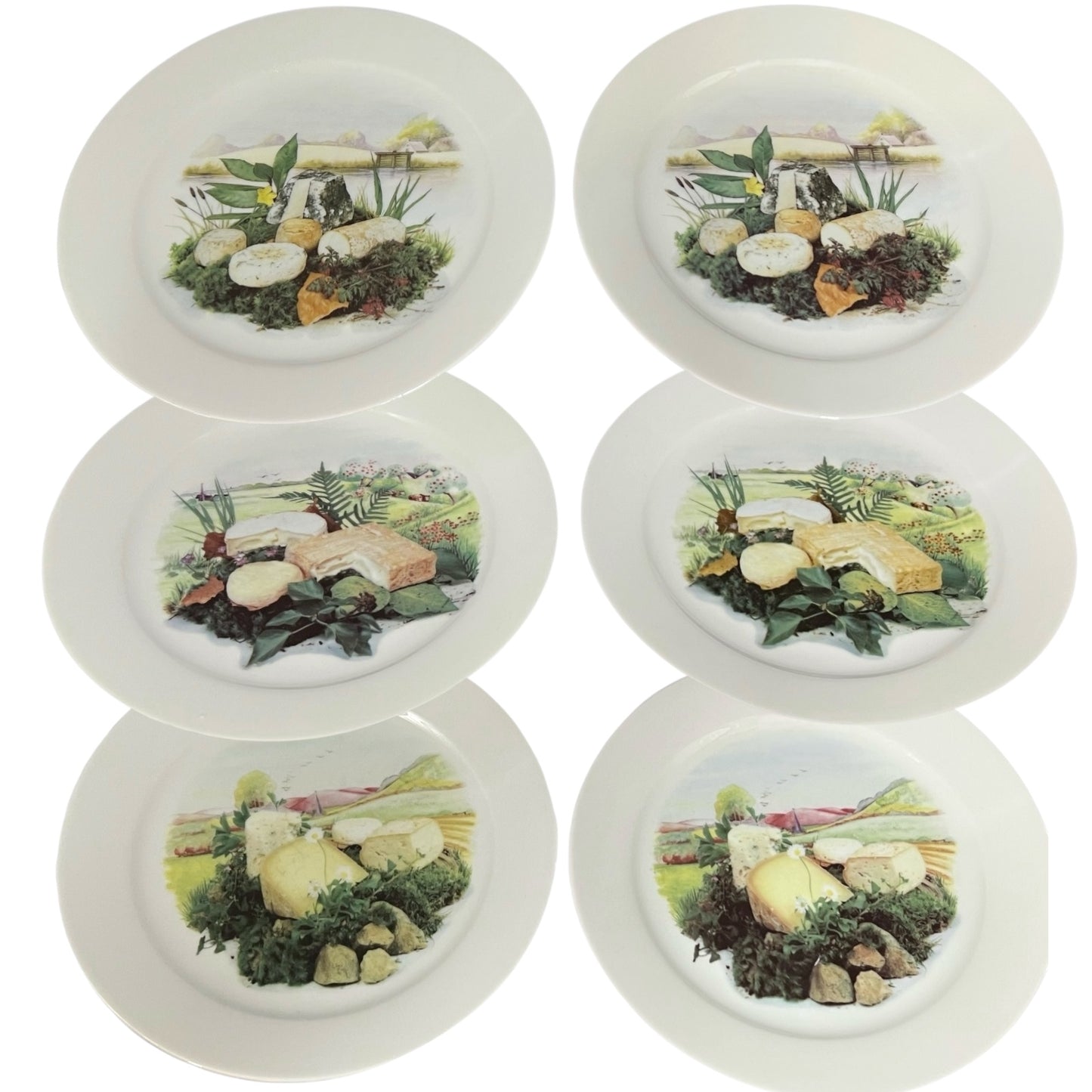 6 French cheese plates on a white background
