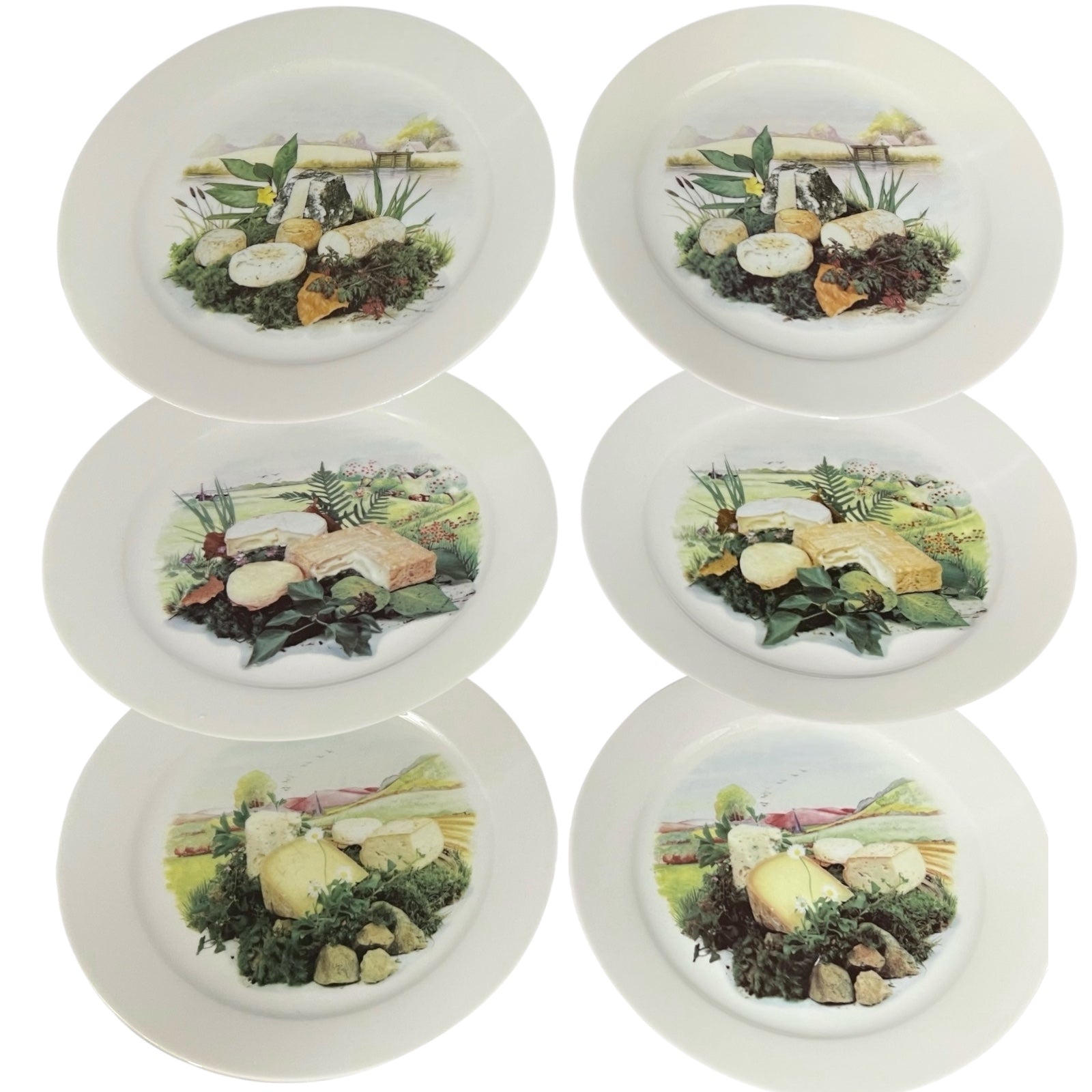 6 French cheese plates on a white background