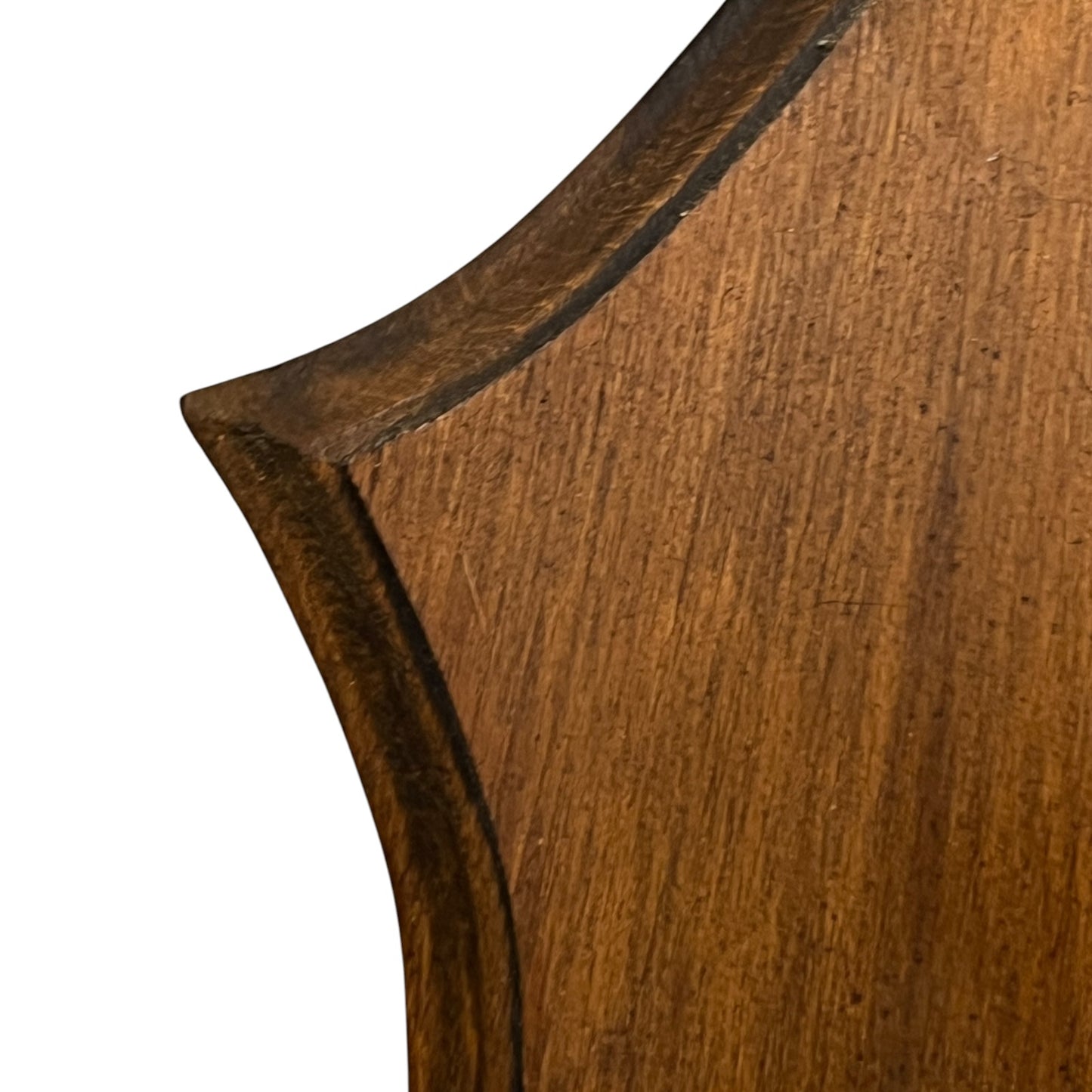 Close up of a taxidermy red squirrel on a white background 