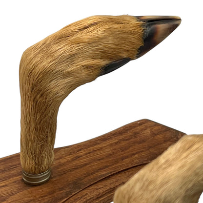 Close up of  French vintage deer hooves on a 2 wooden mounts, ideal for coat hooks - on a white background