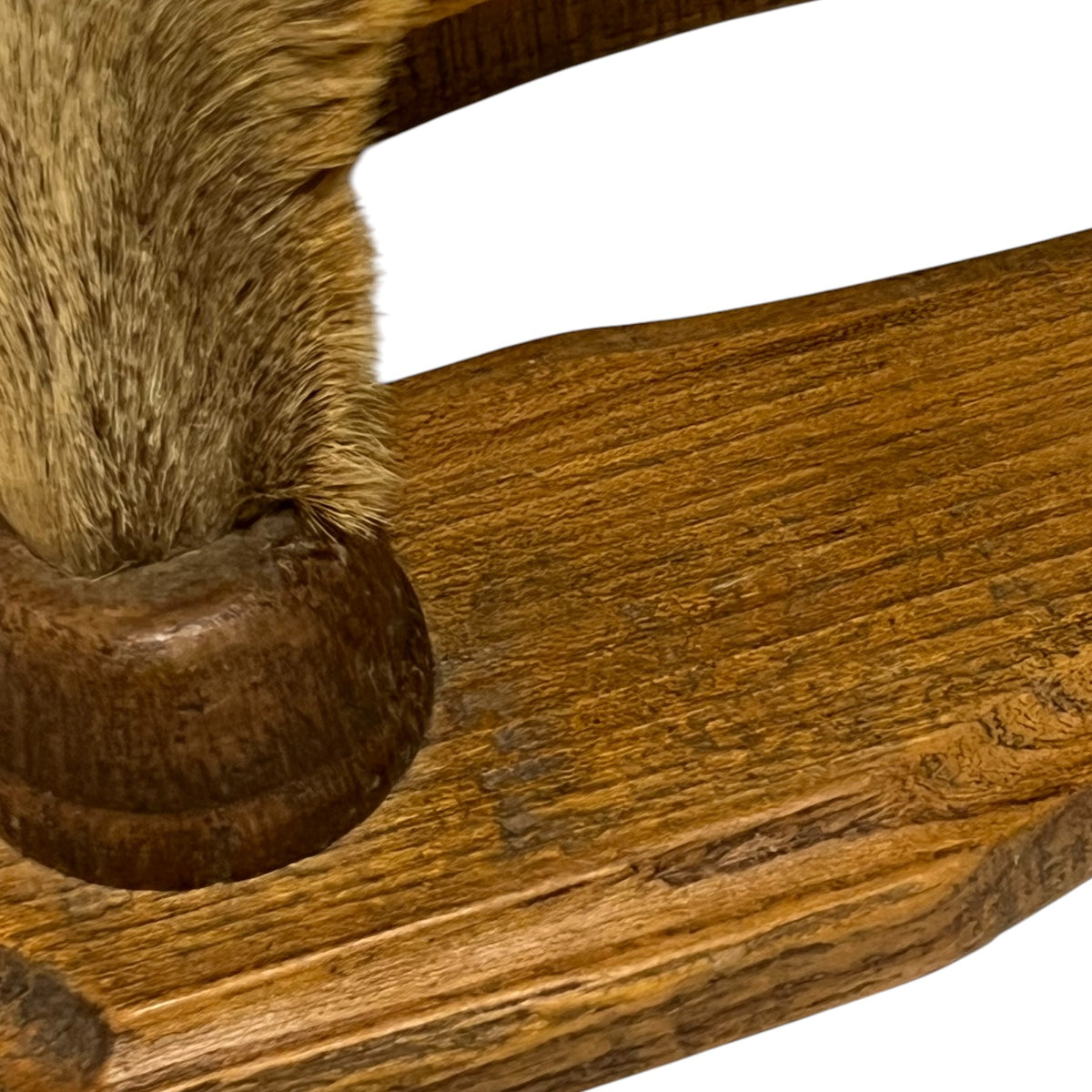 Vintage French Taxidermy Deer Hoof Coat Hooks – Set of 4