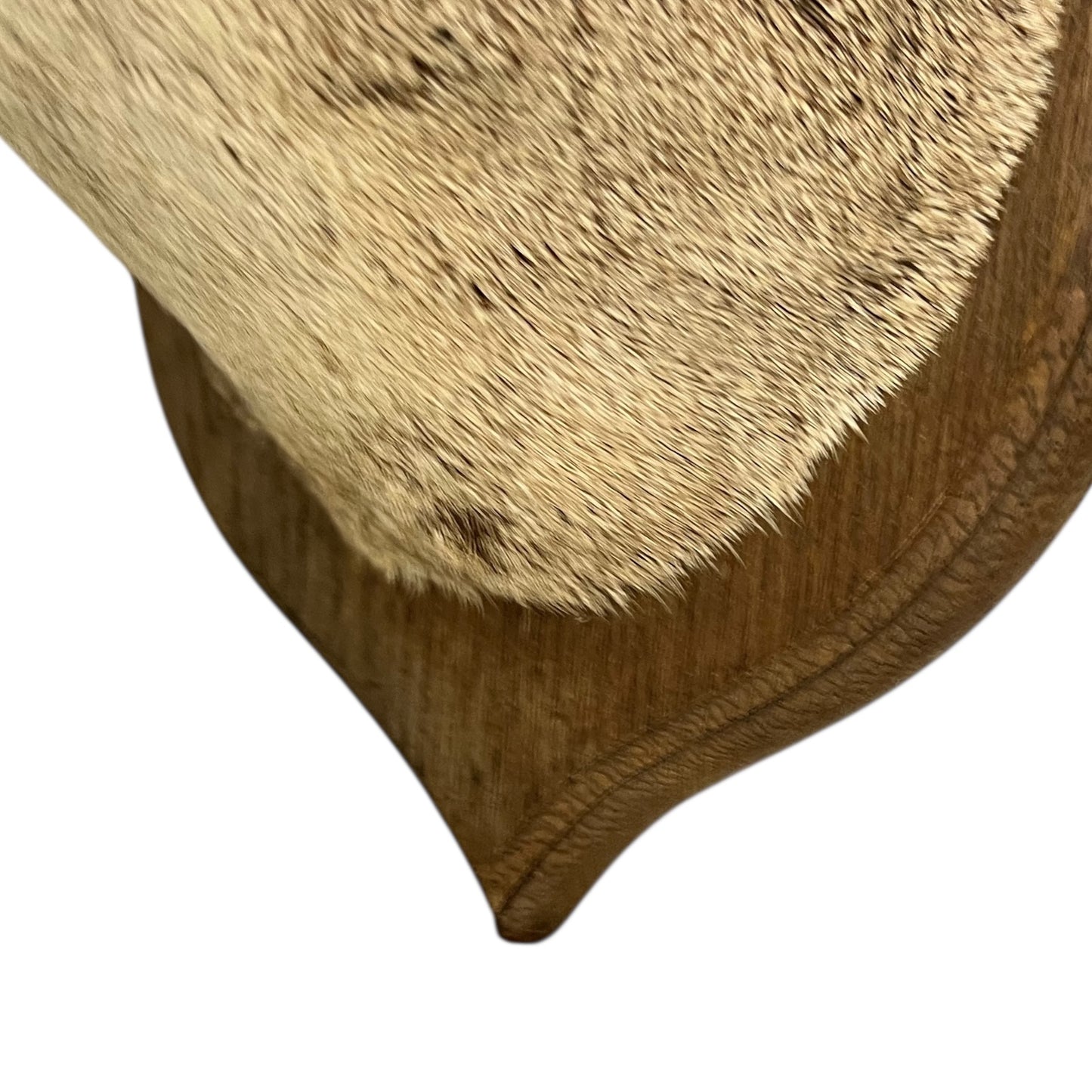 Close-up of a deer mount a white background