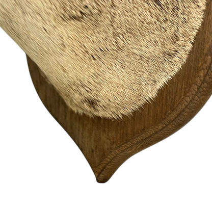 Close-up of a deer mount a white background