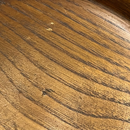 close up of taxidermy plant stand top
