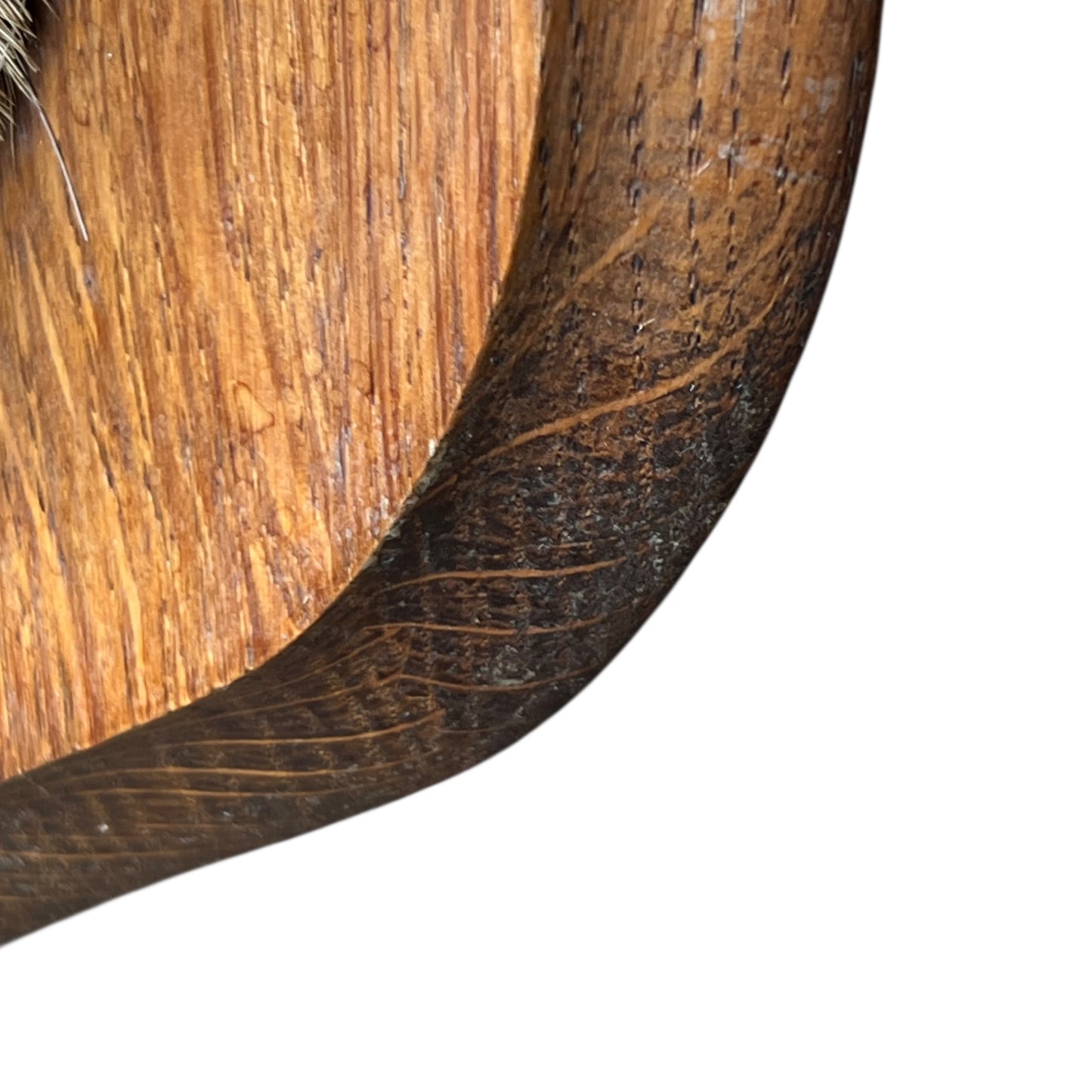 Close-up of deer mount against a wooden surface