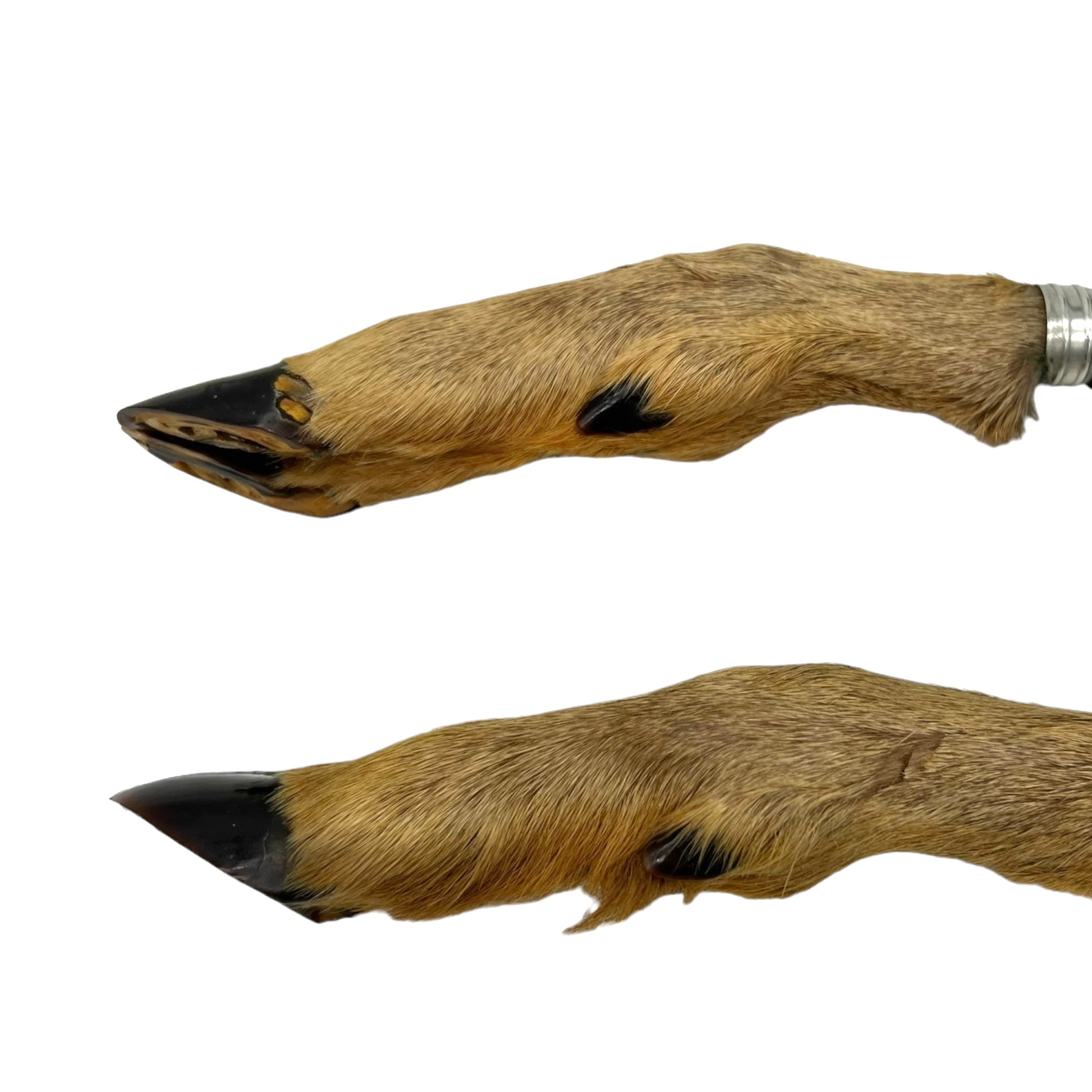 image French taxidermy deer hoof handle carving set