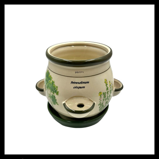 French ceramic windowsill  herb pot for sale by All Things French Store