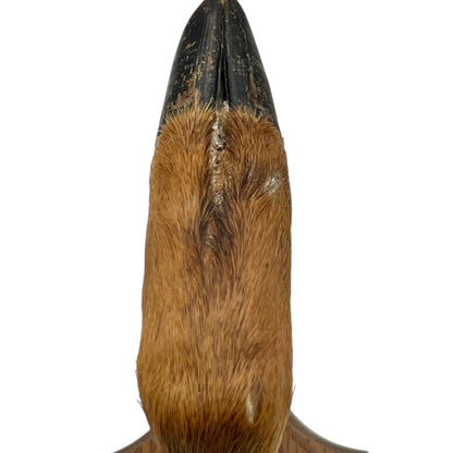 Two wooden wall-mounted deer hooves decorations on a plain wall.