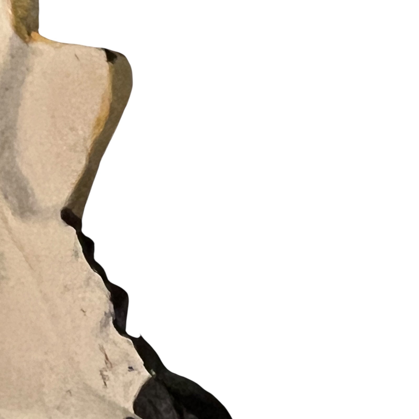 Close up of white horse toilet paper holder against a white background