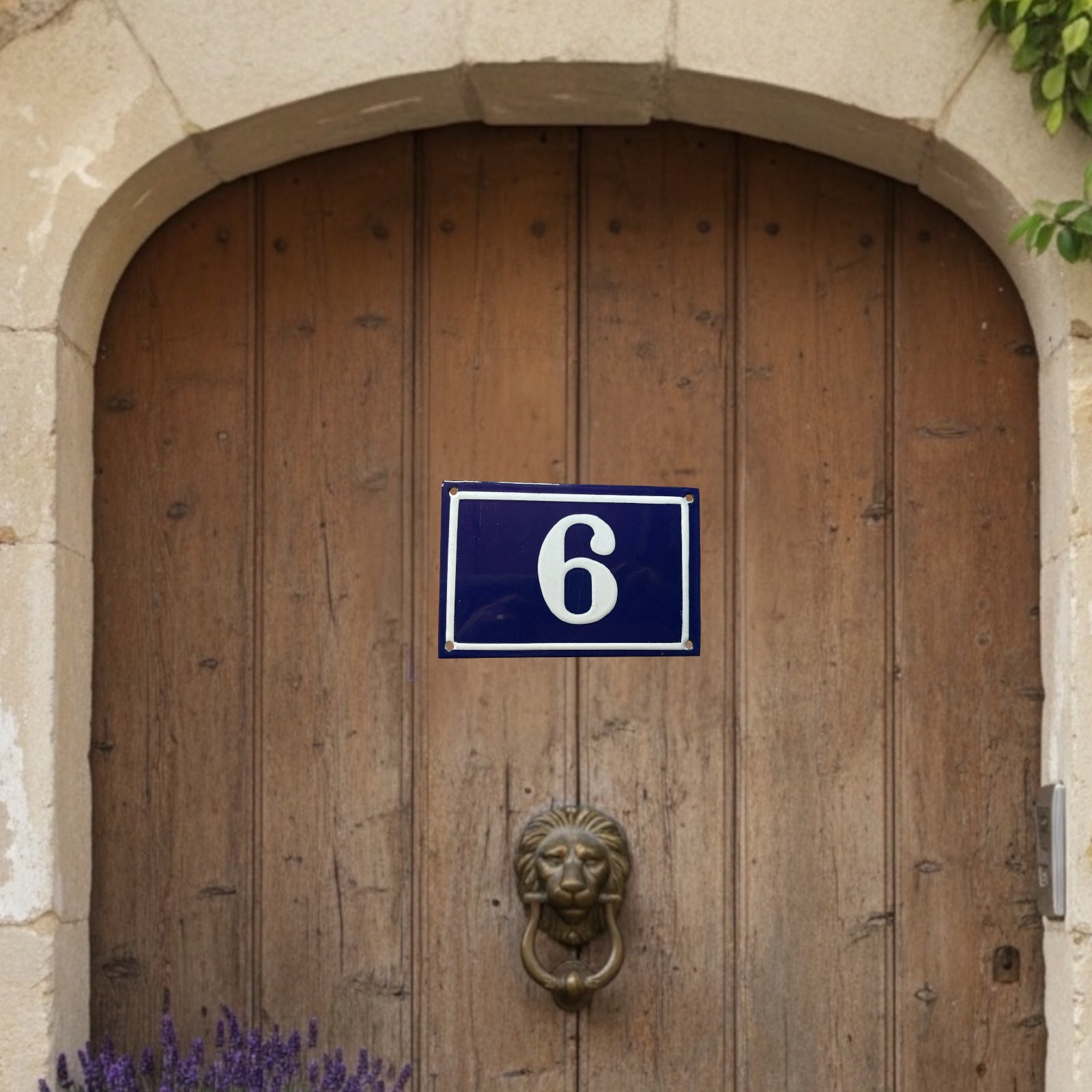 Wooden door with a blue house number sign '6' and a lion knocker.