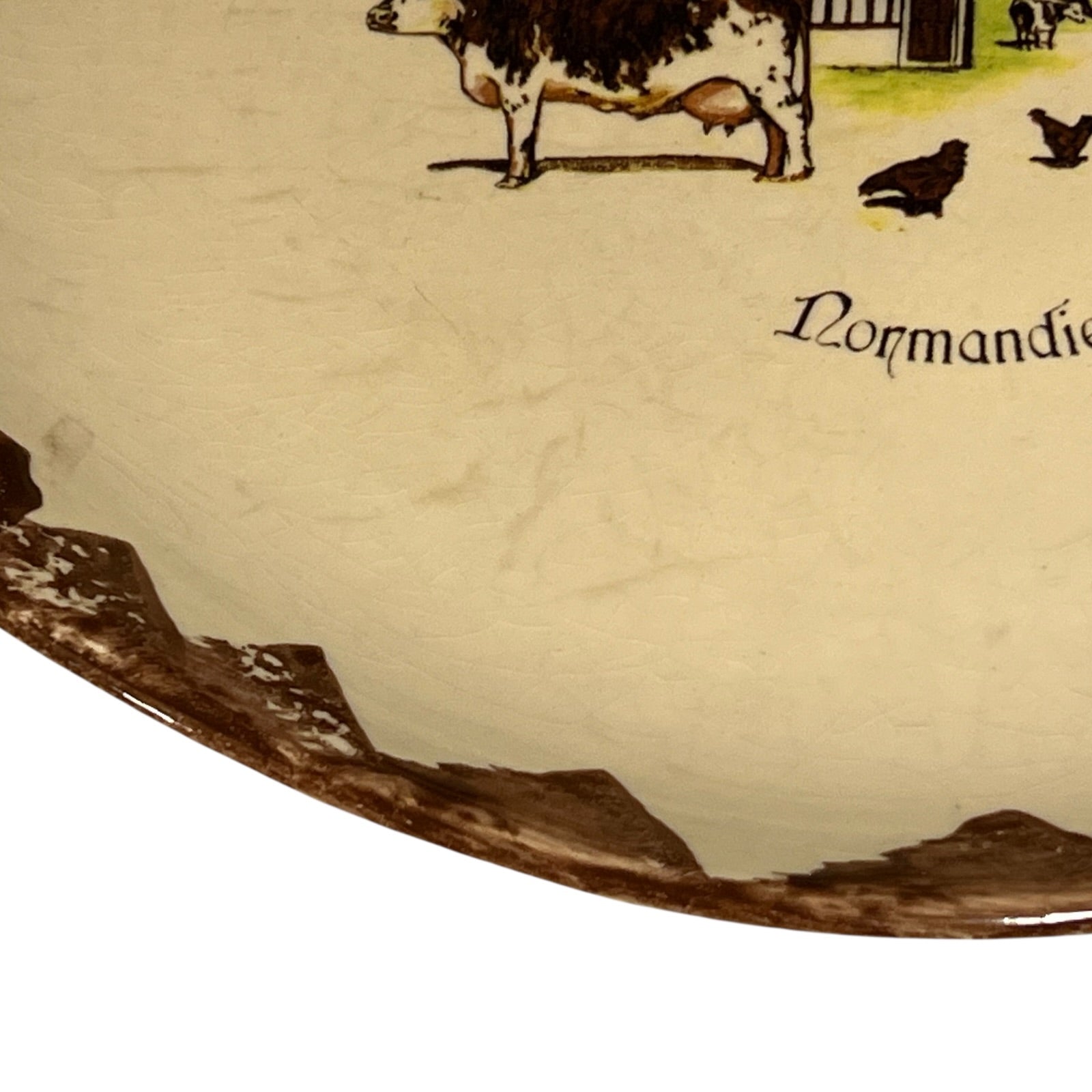 Map of Normandy with illustrations of cows and text on a beige background
