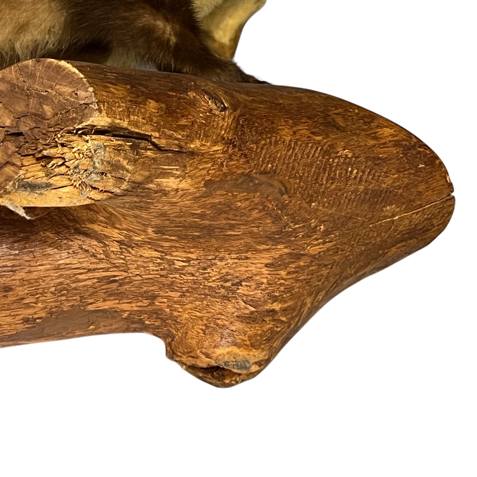 Close-up of a wooden log with natural texture on a white background