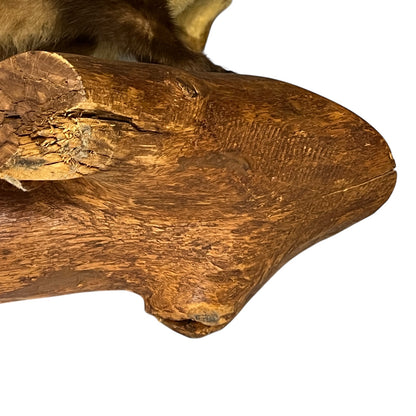 Close-up of a wooden log with natural texture on a white background