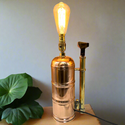 Vintage-style copper and brass lamp with a lit bulb on a wooden surface next to a leafy plant.