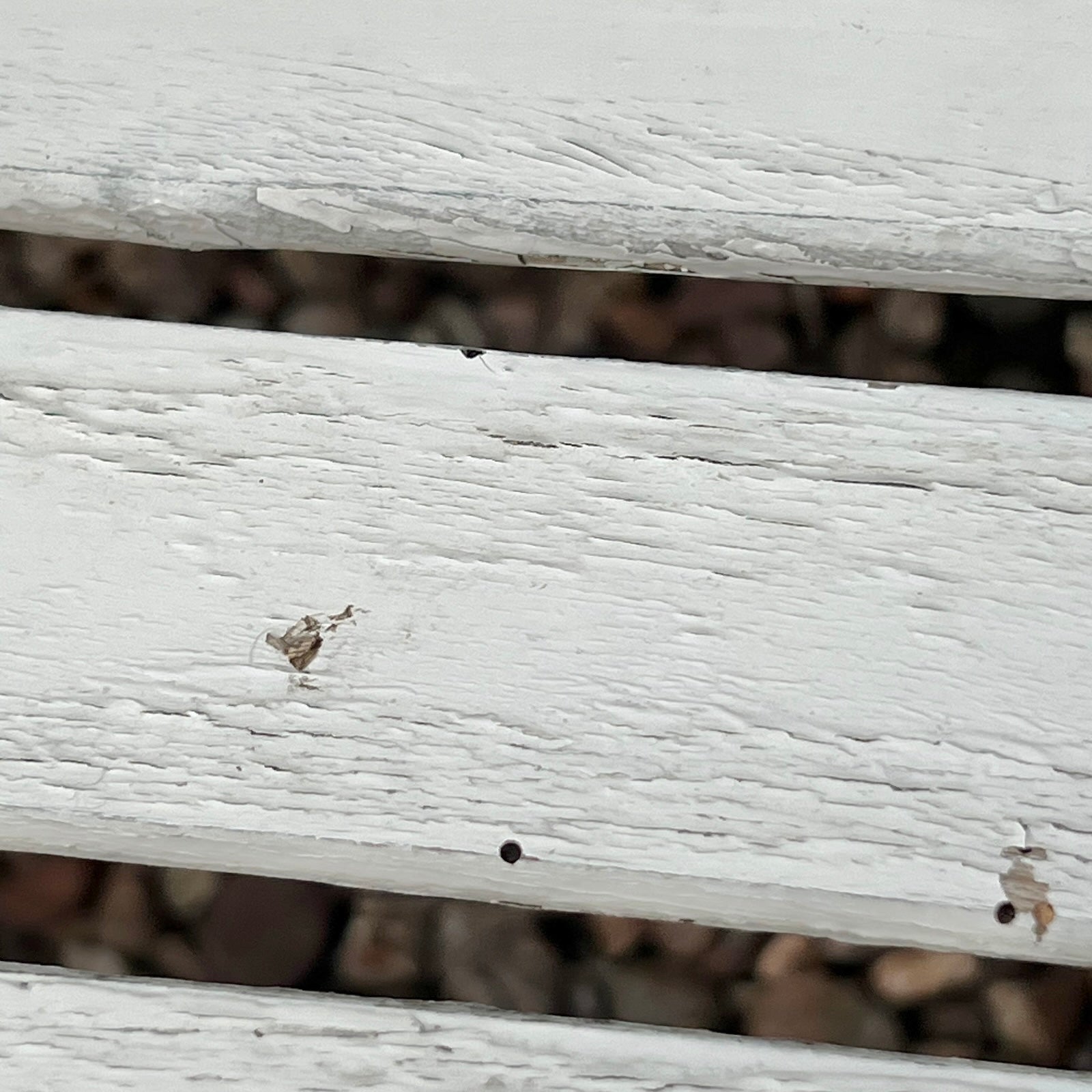 Close-up detail of French wooden slatted chairs, highlighting their condition in an outdoor setting.