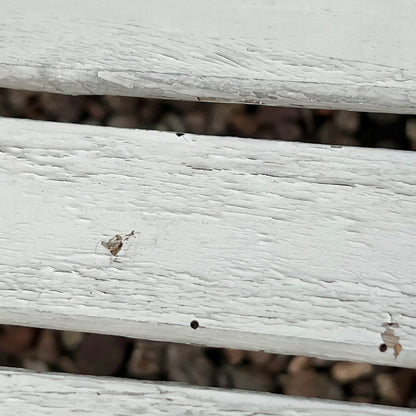 Close-up detail of French wooden slatted chairs, highlighting their condition in an outdoor setting.