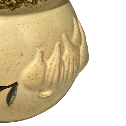 Close-up of a ceramic jar with embossed design on a white background