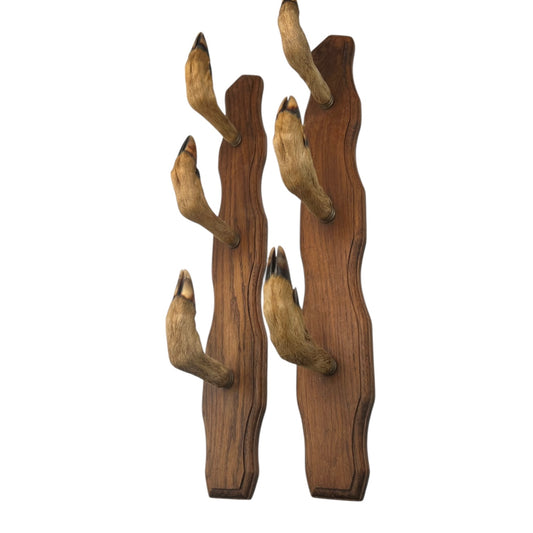 Set of 6 French vintage deer hooves on a 2 wooden mounts, ideal for coat hooks - on a white background