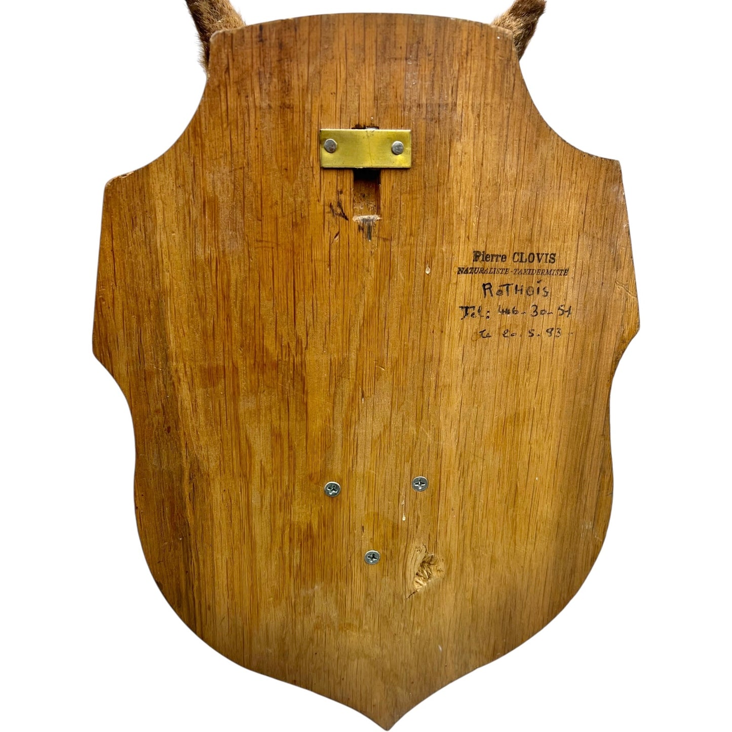 Wooden shield with metal attachments on a white background