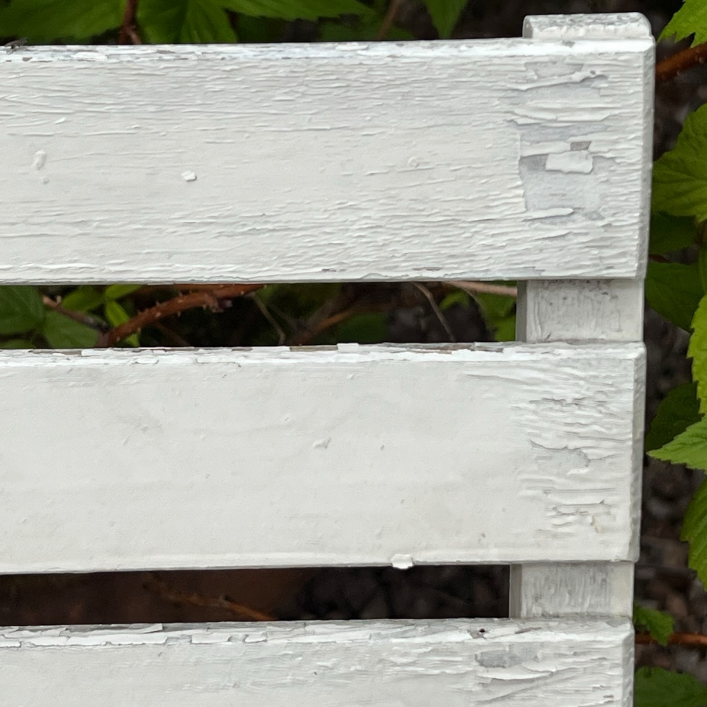 Close-up detail of French wooden slatted chairs, highlighting their condition in an outdoor setting.