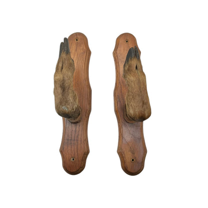 Vintage French Deer Hoof Taxidermy Coat Hooks | Rustic Hunting Wall Hooks