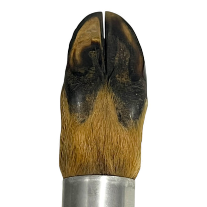 close up view of  Taxidermy Bottle Opener