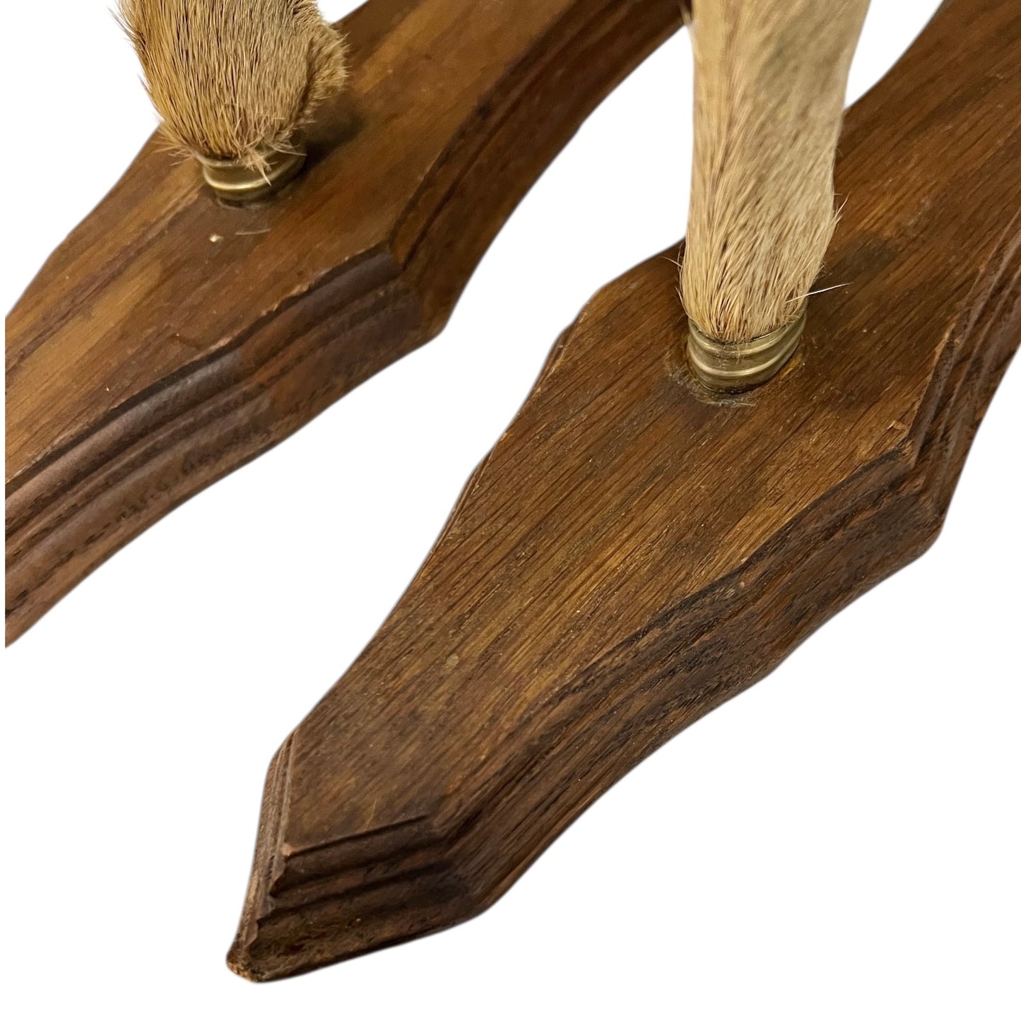 Set of 6 French Deer Hoof Vintage Taxidermy Coat Hooks – Hunting Gift