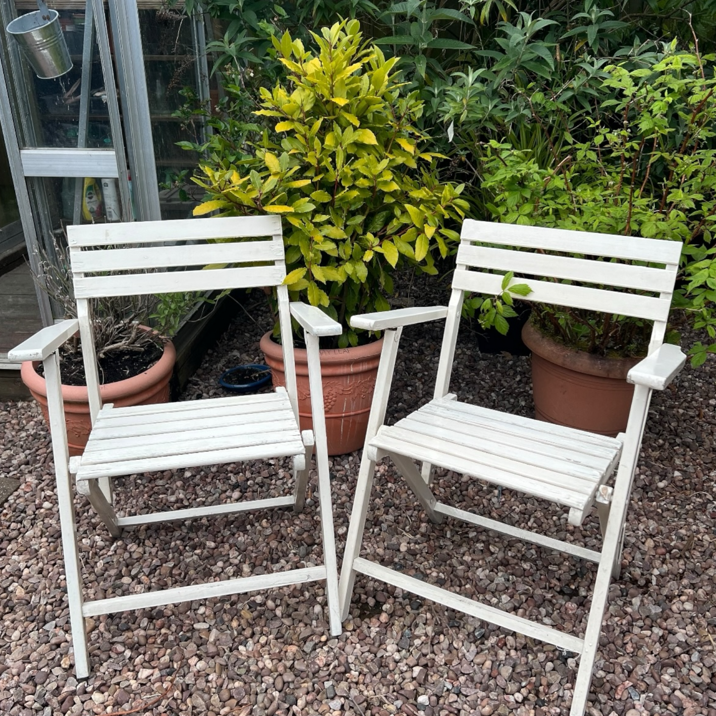 A pair of French vintage wooden slatted garden folding chairs set in a charming garden with a greenhouse, potted plants, and a gravel path, perfect for creating a rustic country cottage vibe.