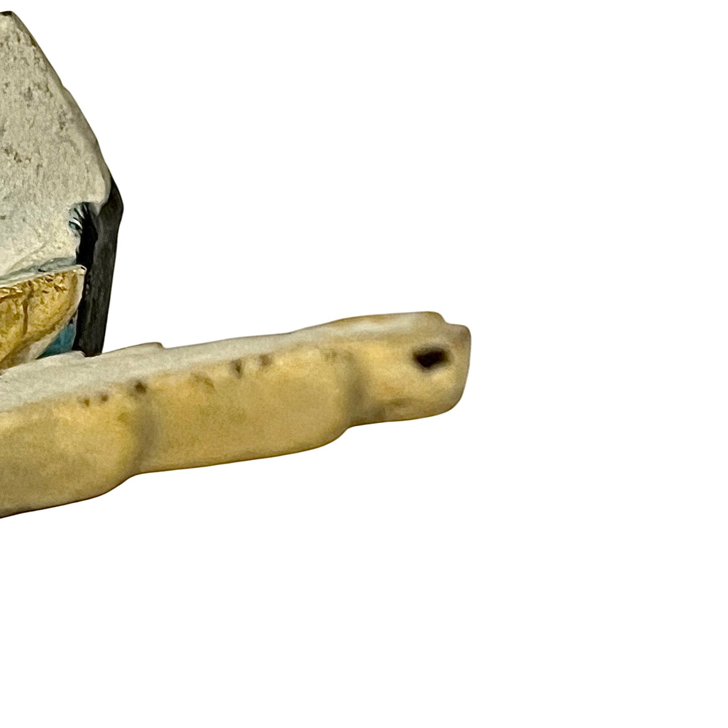 A close-up of a small beige animal tooth or bone fragment with a dark hole near one end, shown against a plain white background.