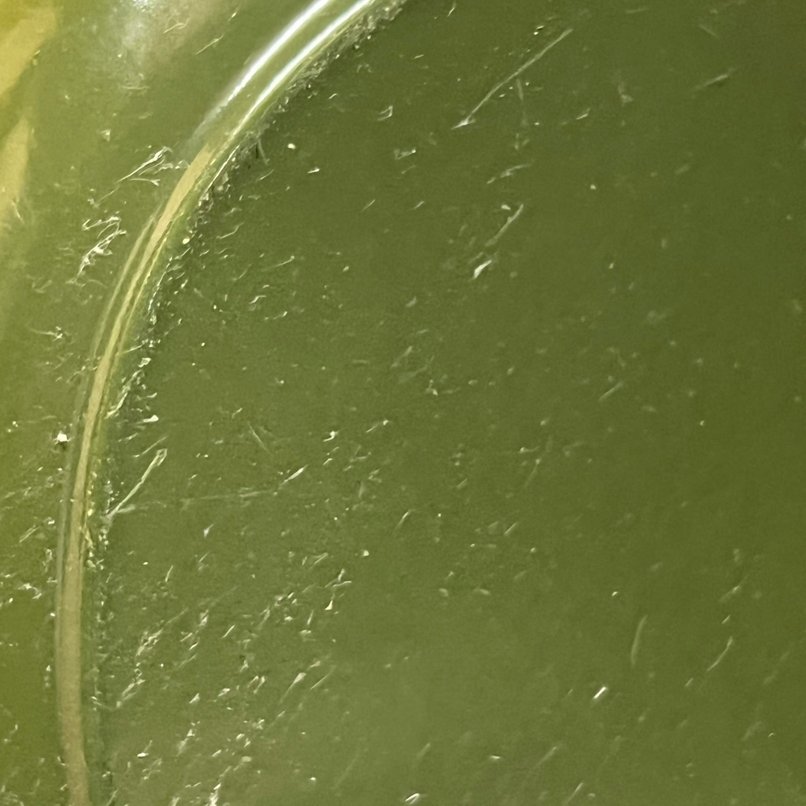 Close-up of a green Le Creuset cast iron skillet on a white background 