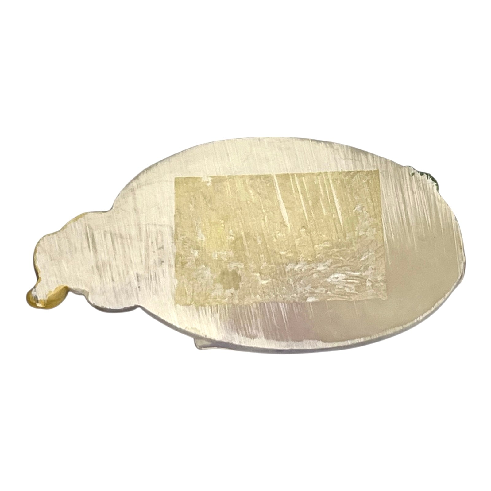 back of a kitchen door sign with a cat decoration on a white background 