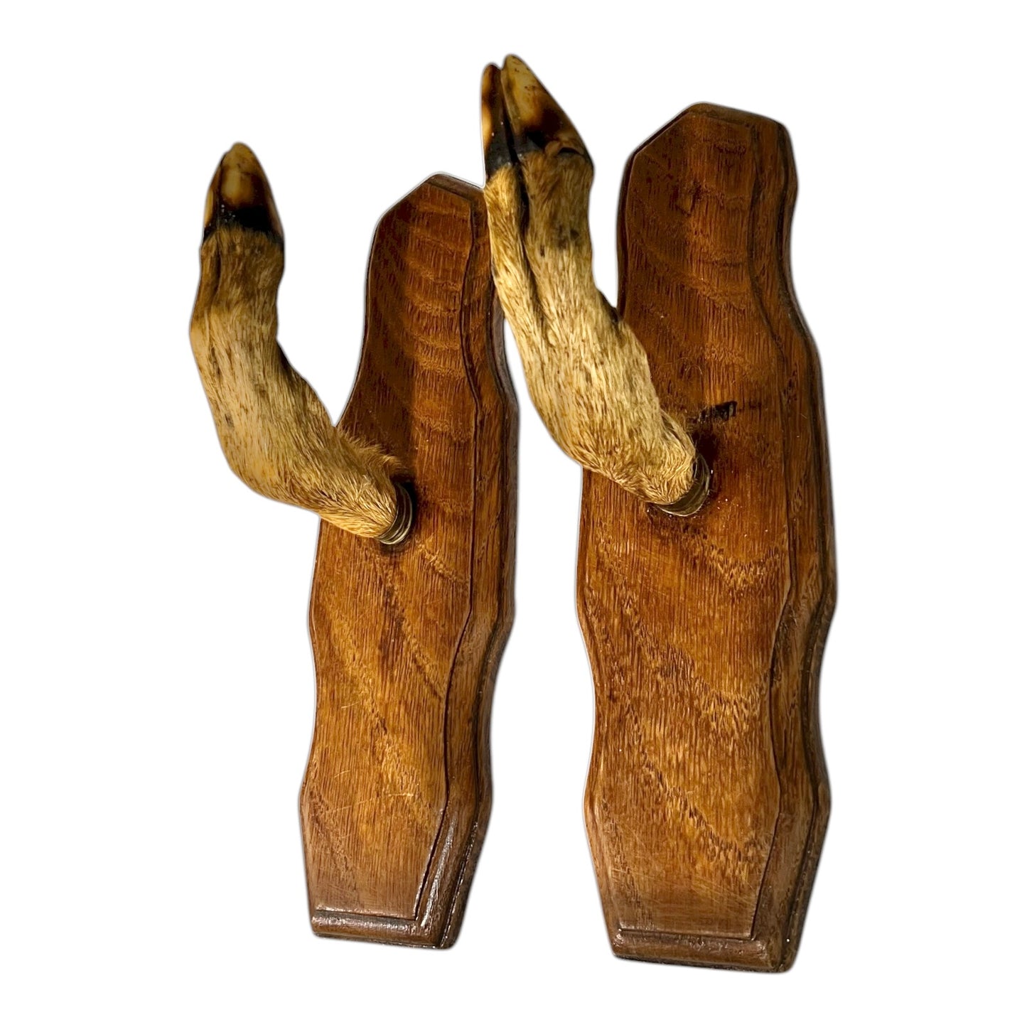 Pair of wooden deer antlers on a white background