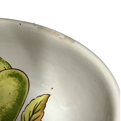 Close-up of the interior rim of a white ceramic bowl featuring a green and yellow painted fruit or leaf motif, with some surface wear and small specks visible.