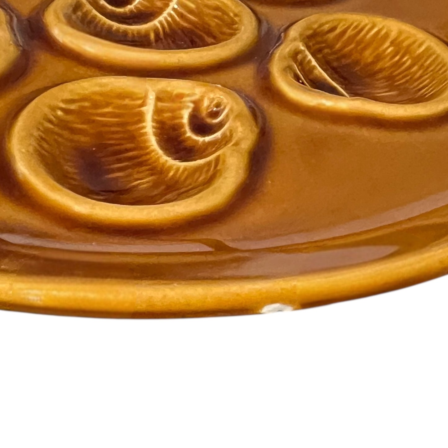 Close-up of a ceramic plate with shell designs on a white background