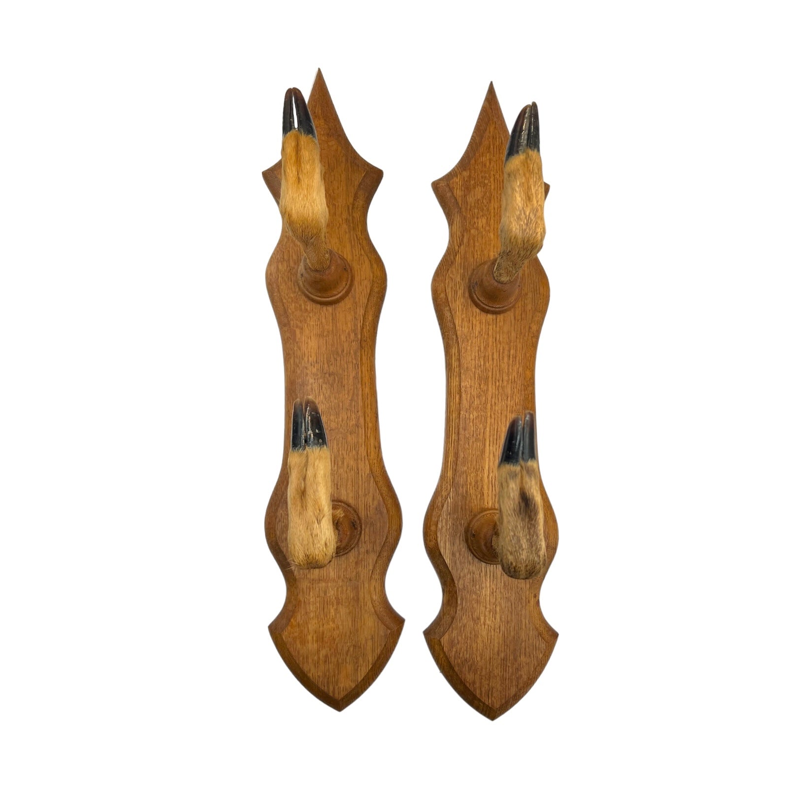 French Taxidermy Roe Deer Hooves Coat or Hat Hooks, Gun Rack or Umbrella Holder